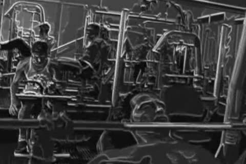 Brazilian Shower plow