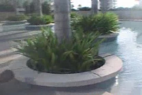 delicious Bodybuilder: Mark Alvisi