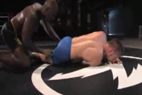 Inter Till love juicesstunning