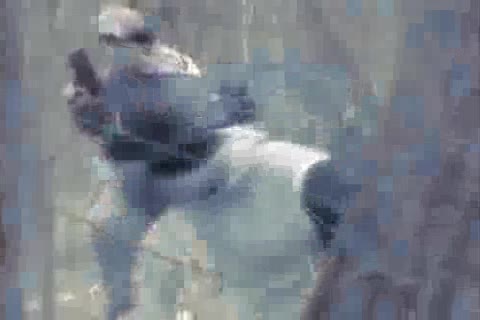 Czech Series - Ruins raw