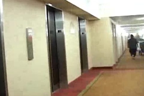 Bear Suit enjoystudst