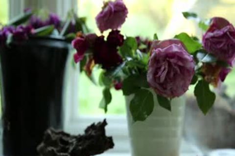 CB ATOB1 Colby DaleCooper