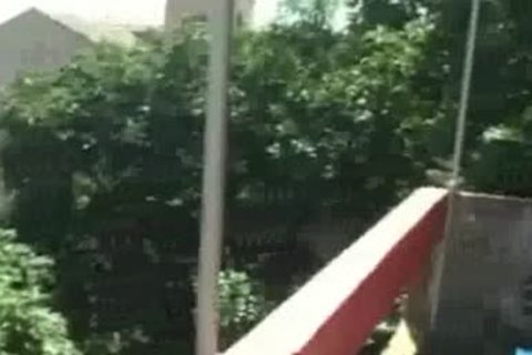 BRAZIL BANANAS 3 SCENE 3