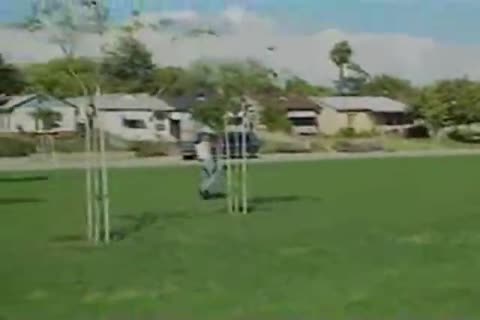 bang In The Rear ass fun