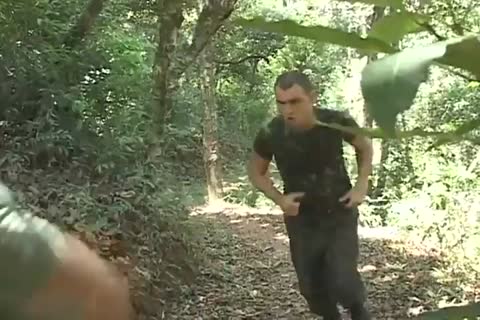 Soldiers On The Loose