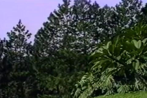 hot Brazilian Latino groupslamed By lustful Hunks