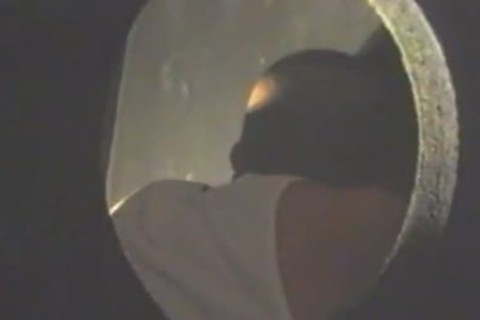 Nubian Horses - Scene 1