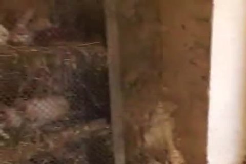 Muscle blond men nail in the Farm