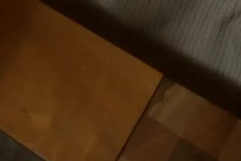 H0M B3@r Plumbing (F0rd H0ll@nd & K3g@n)