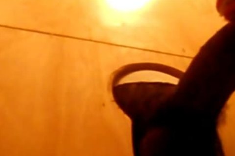 prostitutety MF receives Some Mighty oral-stimulation.  once more.