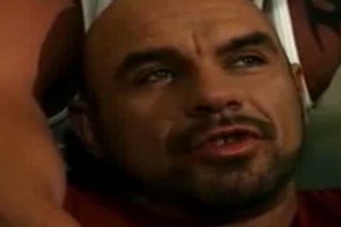 exposedback plowers - Four