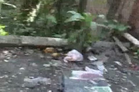 BRAZIL BANANAS 1 SCENE 2