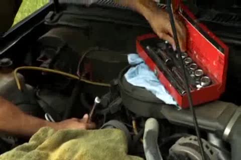 toys oral-service And anal sex