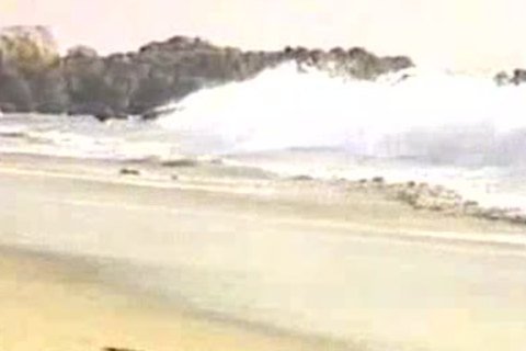 Clanalic Joey And Ryan