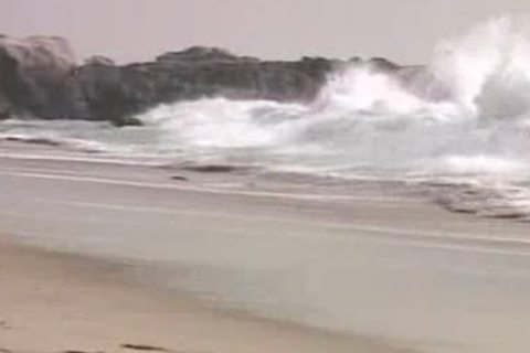 throbbing Willy wank In Da Life Saver Tower