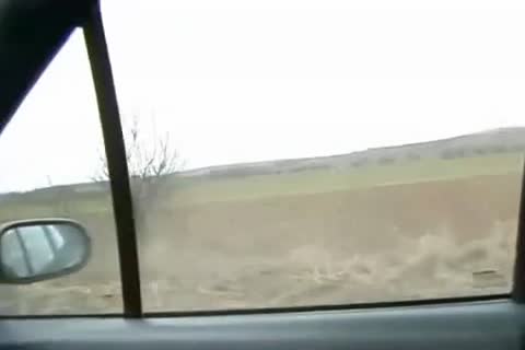 Has a soft spot for fucking