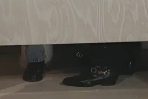 Skaterfellow And Yuppie