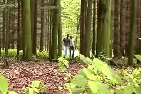 strippedback In The Forest