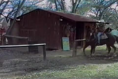 jerking off in the barn