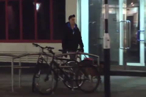 daddy bone dogsitter