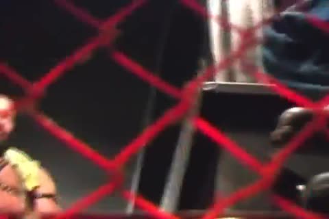 Bears, Beers, Leather And Sex