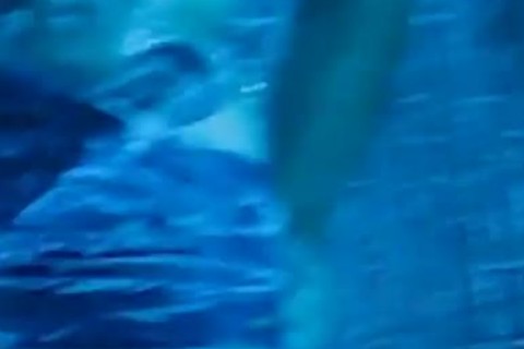 Riding a dick in shower