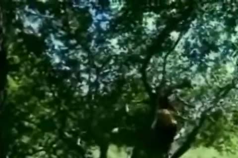 Two boys pound Outside