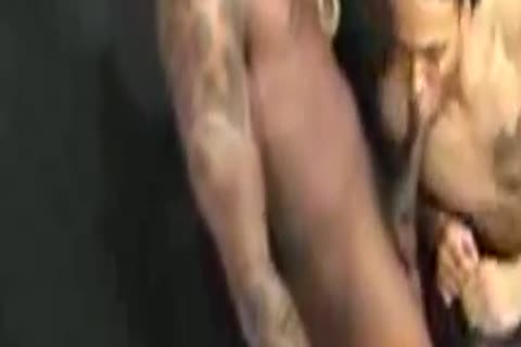 Thugzilla and Trapman