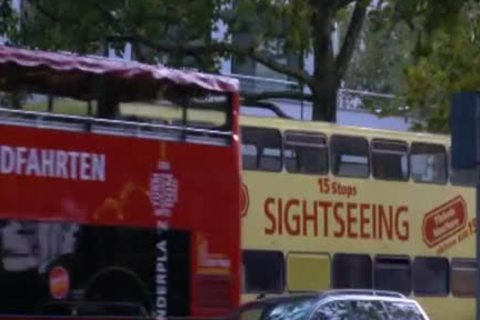 Peto coast copulates