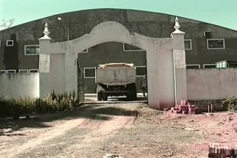 Brazilian wild Truckers