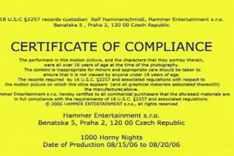 ARAB actION ARTIFICE