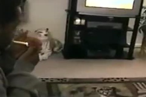 Tigg'r suck Of Round