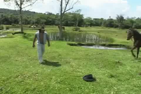 man on tthis chab Range 1