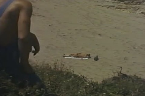 California Blue 1985 Sc1