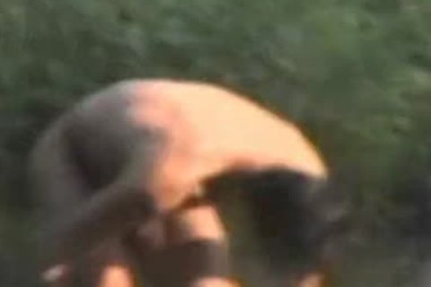 Warseer Floethowdys chab - .