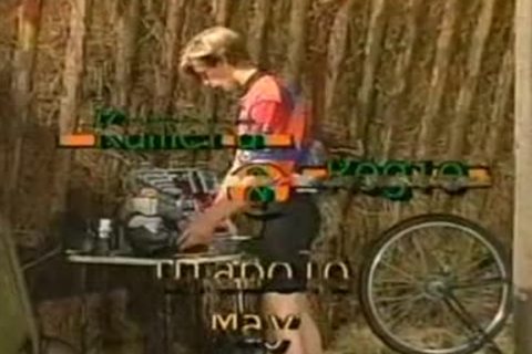 travel De pecker - .