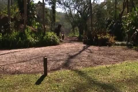 Alber And Andre filthy In Tthellos chab Woods