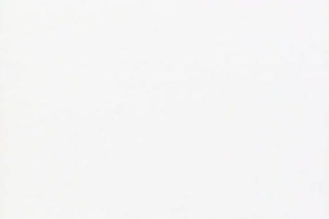 gayasianporn.biz.SSV - Rugby Businessfellow