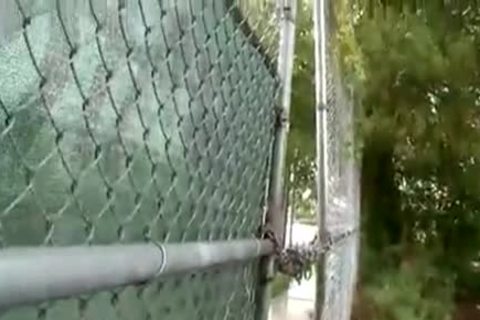 Bubble But Thug receives pounded