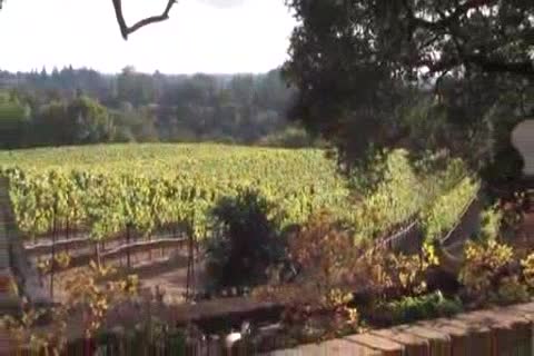 Defendi Donny And Crosse