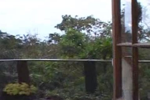 Dylan Hunter naughty