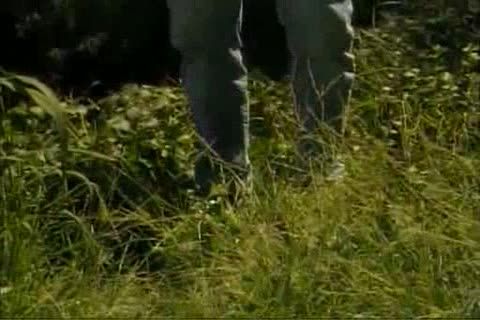 Muscle poke In The Woods