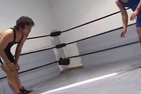 IMPact homosexual Wrestling