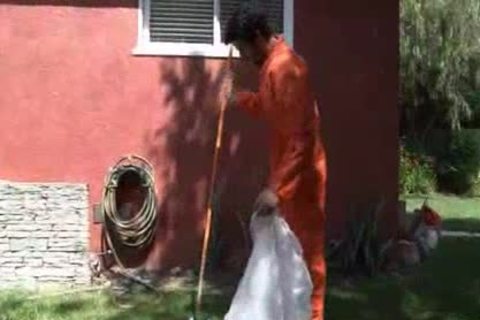 Leo Giamani & Ari Disilvo's hairy pooper Fuckin'