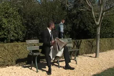 stunning collision In Park