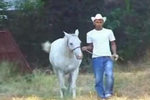 homosexual ass fucked unfathomable