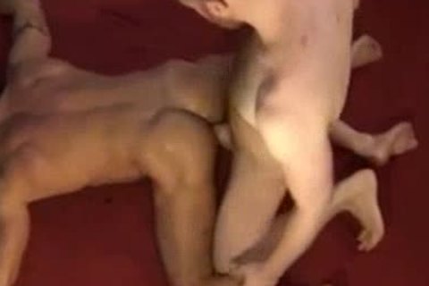 The best sex and bear