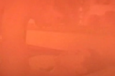 juicy men Making Love With panalion