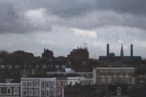 Bears At Tthowdys dude Office