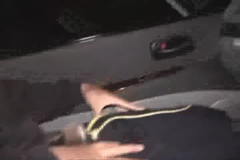 Asian really likes ramming hard